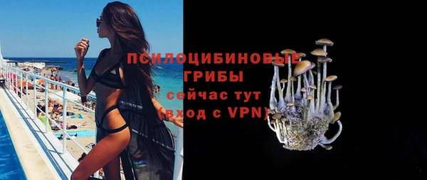 МДПВ Алексеевка