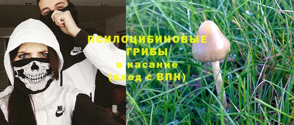 индика Наволоки